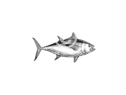 tuna art